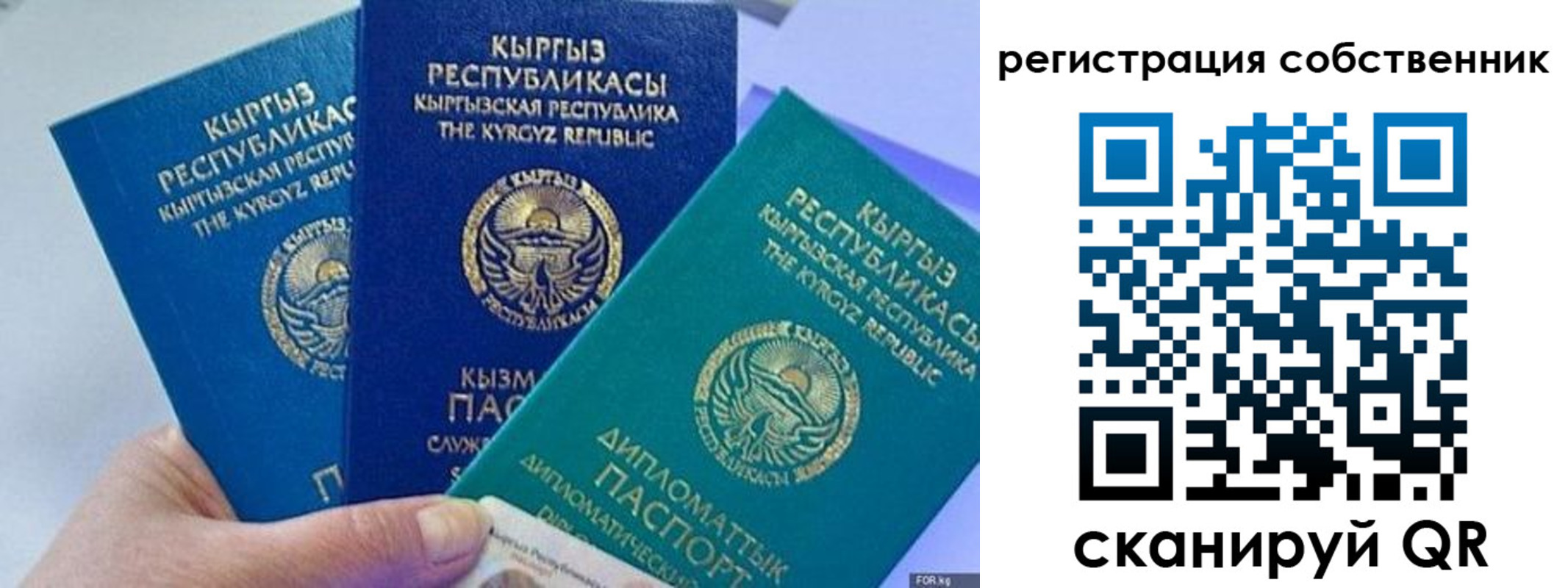 регистрация в Дорогобуже